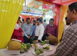 নিরাপদ ফল উৎপাদনে উৎসাহ বৃদ্ধির লক্ষ্যে খানসামায় ফল মেলা উদ্বোধন
