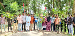 বীরগঞ্জ কলেজ ছাত্রদলের বৃক্ষরোপণ কর্মসূচি পালন