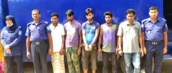 হাকিমপুরে বিভিন্ন মামলায় ৬ জন গ্রেফতার