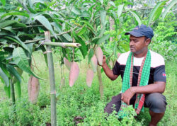 সফল কৃষি উদ্যোক্তা লাজু নিজে স্বাবলম্বি হয়ে অন্যদের উৎসাহিত করছেন
