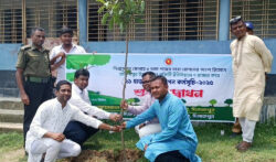 হাকিমপুরে বিভিন্ন প্রজাতির ২১ হাজার বৃক্ষরোপণের উদ্বোধন