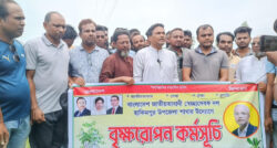 হিলিতে স্বেচ্ছাসেবক দলের উদ্যোগে বৃক্ষরোপণ কর্মসূচি